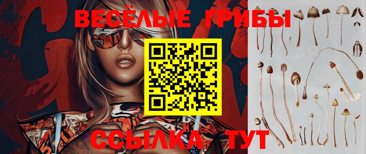 Нурлат  Псилоцибиновые грибы Magic Shrooms  Вход с VPN 